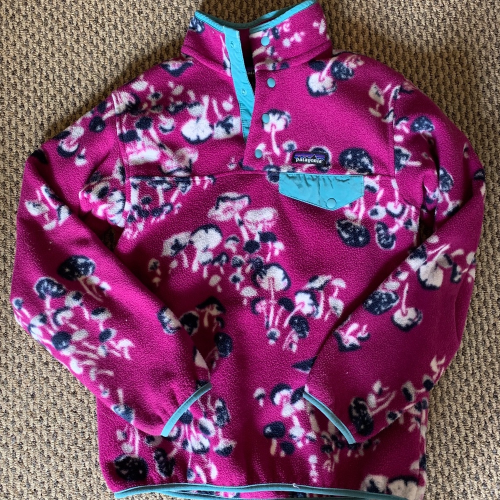 Patagonia Synchilla Snap-T Pullover